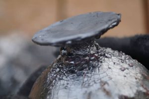 How to clean raku pottery