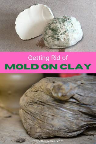 get rid of mold on clay