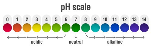 ph scale graphic