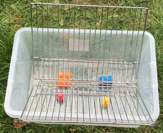 oven racks in plastic storage box