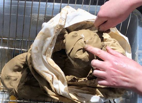 How to Process Clay - 4 Steps to Turning Dirt Into Usable Clay